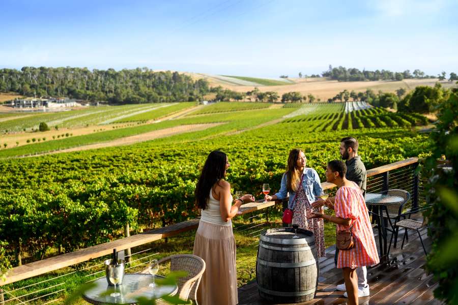 people drinking wine in vineyard